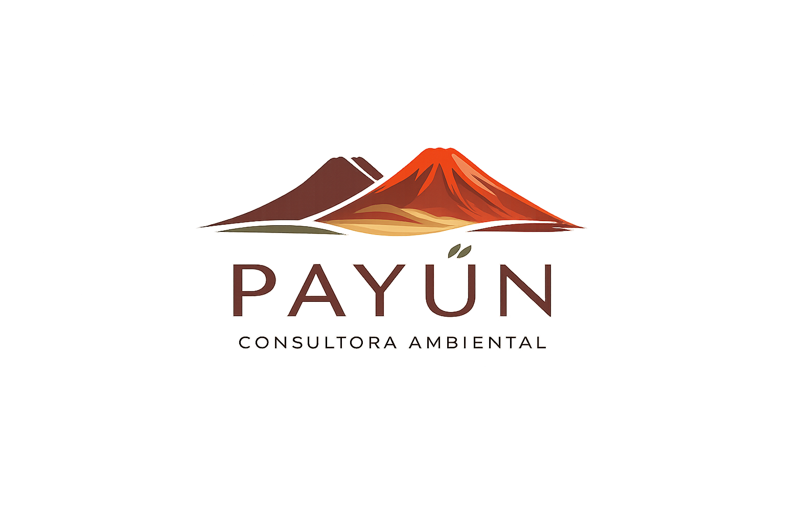 Payún Consultora Ambiental